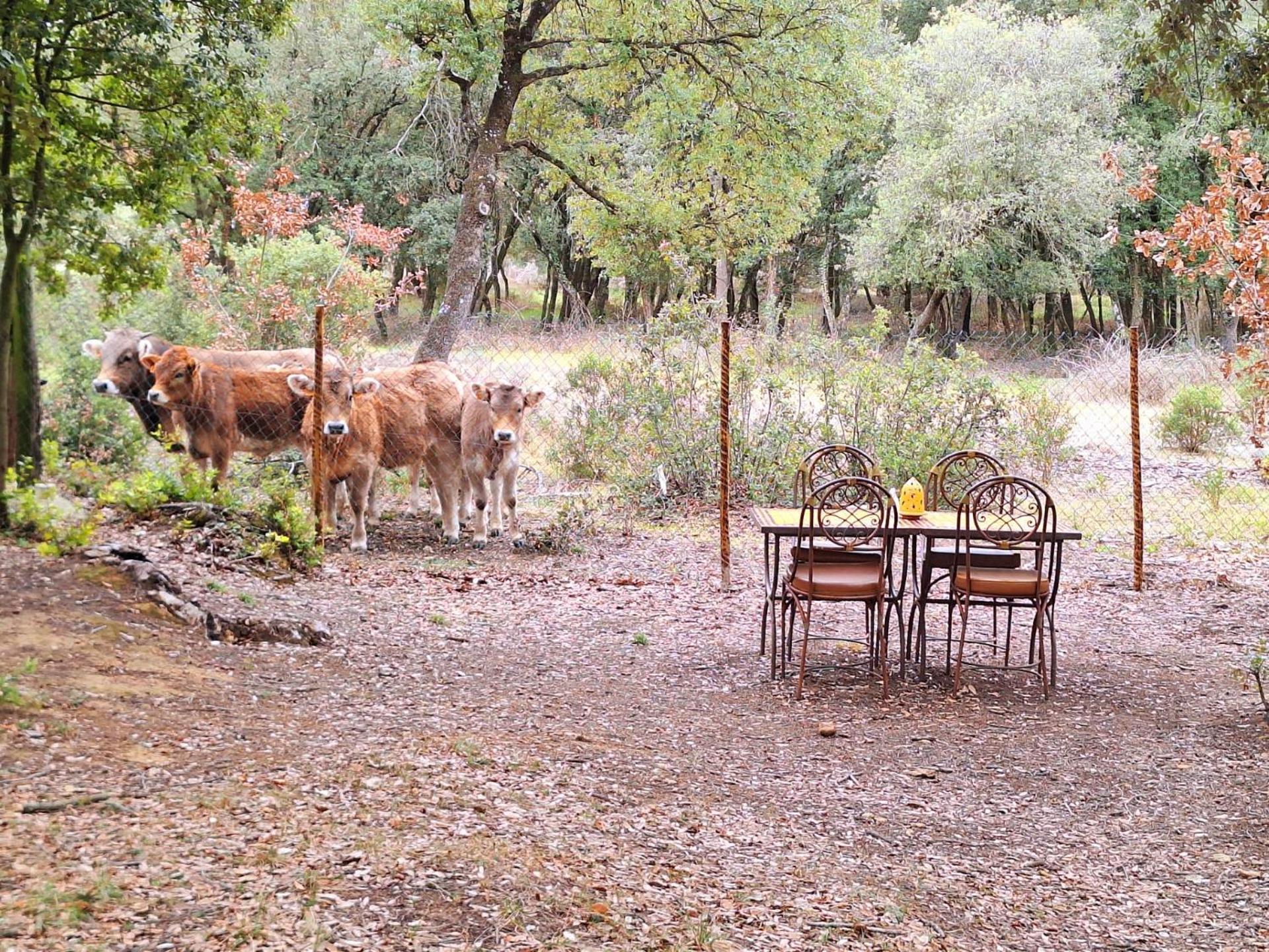 Casa Natura Montseny Chalet Barcelone